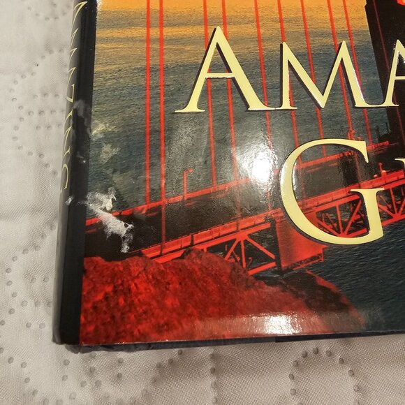 Danielle Steel Hardcover Book Lot - Amazing Grace Beauchamp Hall Without A Trace - Picture 10 of 14